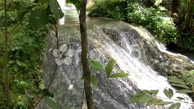 (Seamless Looping) Viewing Rock Waterfall At Its Finest