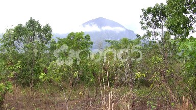 (Seamless Looping) Natural Elevation of Full Green Mountain View
