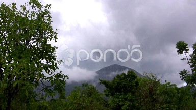 (Seamless Looping) Viewing the Mountain Top With Birds Chirping