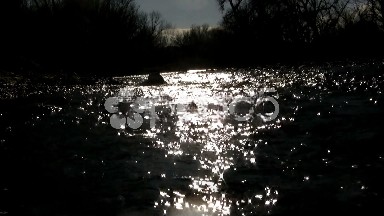(Seamless Looping) Sunset Down in the Creek