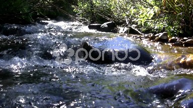 (Seamless Loop) Channeling a Body of Water