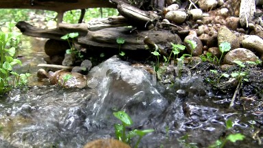 (Seamless Loop) Water Popping Out