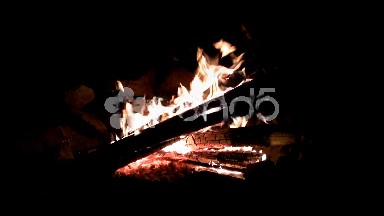 (Seamless Loop) Campfire Log Night Shot