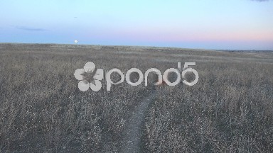 Pan of Dog Moon in Background