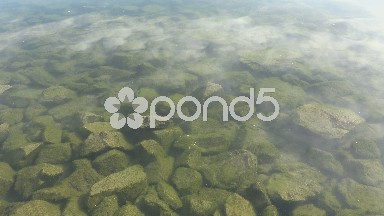 Algae Covered River Rocks