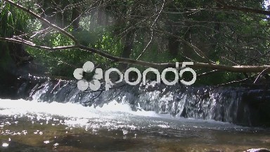(timelapse) Wide Waterfall Hidden in Creek