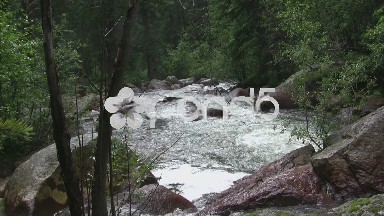 (timelapse) Downstream Forest Mountain Creek