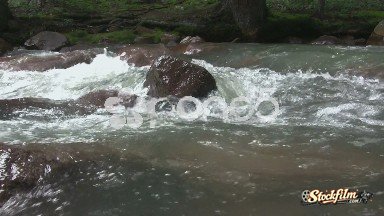 (timelapse) Fast Moving Creek