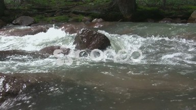 (timelapse) Fast Moving Creek