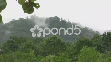 (timelapse) Fog Rising From Tropical Jungle