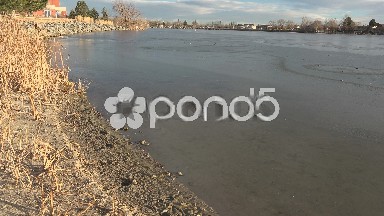 Thin Ice on Residential Lake