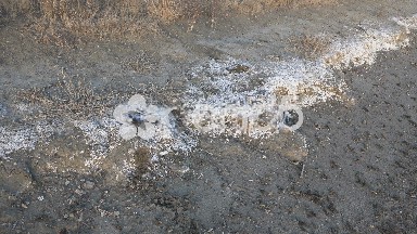 Pollution Deposits On Lakeshore