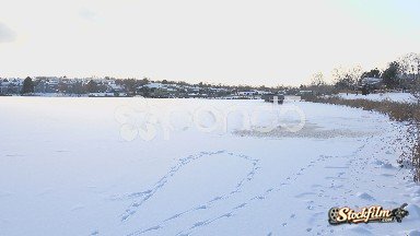 Frozen Lake in Westminster, Colorado