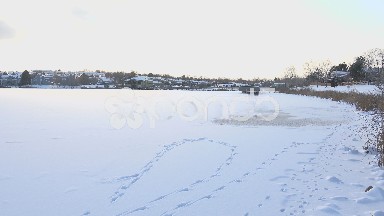 Frozen Lake View