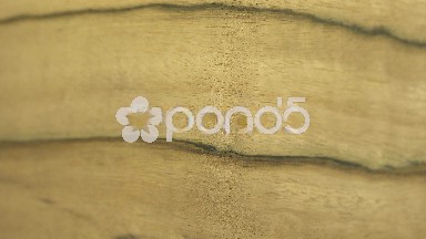 Hackberry Woodpiece