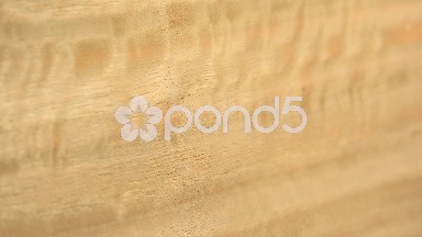 (Perfect Loop) Textured Eucalyptus Wood Piece