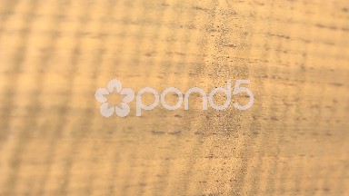 (Perfect Loop) Piece of Smoked Etimoe Closeup