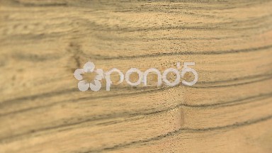 (Perfect Loop) Wood Sheet of Paldao