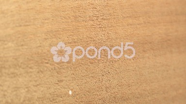 (Perfect Loop) High Resolution Gaboon Wood