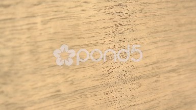 (Perfect Loop) Walnut in Closeup View