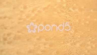 (Perfect Loop) Anigre Wood