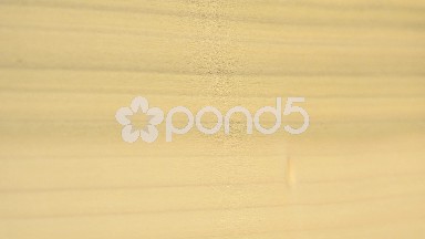 (Perfect Loop) Poplar Wood Texture