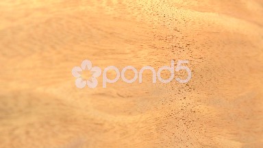 (Perfect Loop) Blistered Sapele Wood Piece