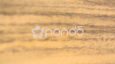 (Perfect Loop) Rosewood Texture Closer View