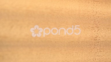 (Perfect Loop) Sapele Wood Background Close-up