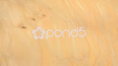 (Perfect Loop) Quilted Maple Wood Texture