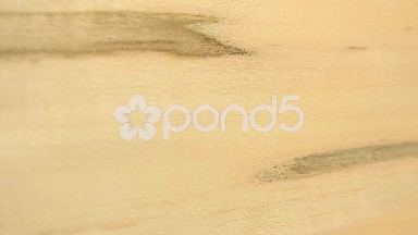 (Perfect Loop) Amboria Maple Wood Piece