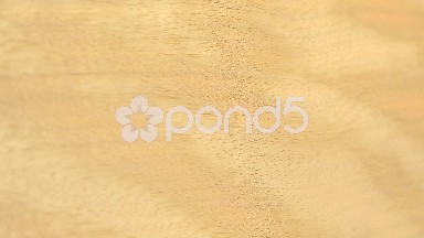 (Perfect Loop) Seamless Texture of Avodire