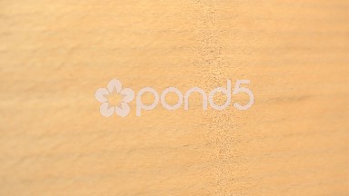 (Perfect Loop) European Beech Wood Cut