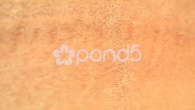 (Perfect Loop) Rich Texture of Curupixa