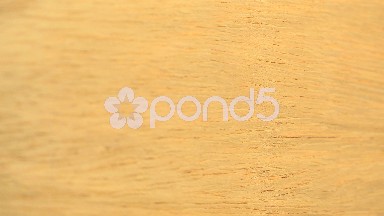 (Perfect Loop) A Richer Cerejeira Wood Piece