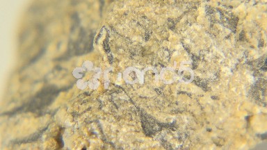 Breccia Natural Texture