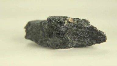 Hornblende In Full Focus