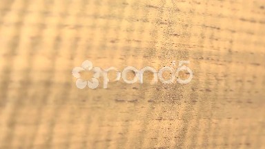 (Perfect Loop) Piece of Smoked Etimoe Closeup