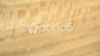 (Perfect Loop) Textured Eucalyptus Wood Piece