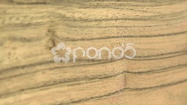 (Perfect Loop) Wood Sheet of Paldao