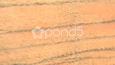 (Perfect Loop) Silky Walnut Texture