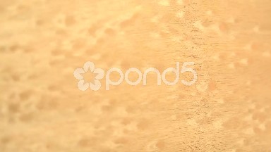 (Perfect Loop) Anigre Wood