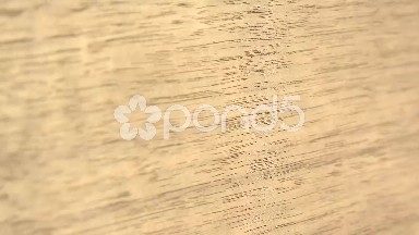 (Perfect Loop) Walnut in Closeup View