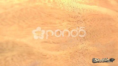 (Perfect Loop) Blistered Sapele Wood Piece