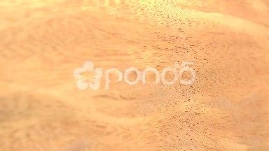 (Perfect Loop) Blistered Sapele Wood Piece
