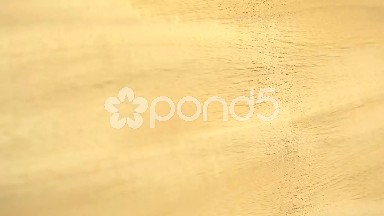 (Perfect Loop) Good Piece of Primavera