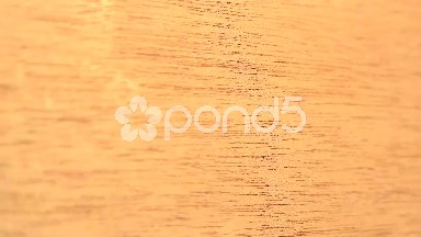 (Perfect Loop) High Detailed Mahogany Wood
