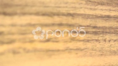 (Perfect Loop) Rosewood Texture Closer View