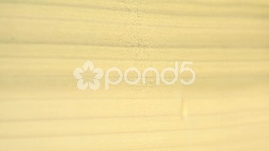 (Perfect Loop) Poplar Wood Texture