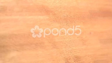 (Perfect Loop) Niove Of Sudan, Africa